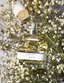 Spring Scents for Every Adventure: Choosing Your Perfect Fragrance