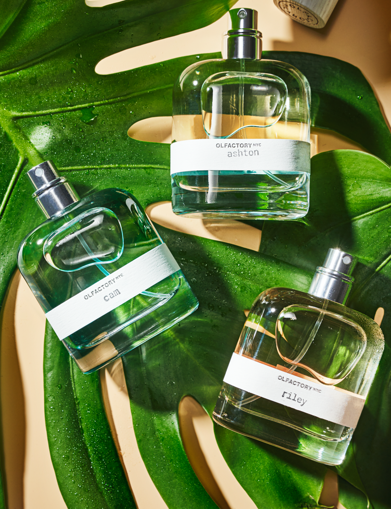 Discovering Fruit Accords: Ideal Fragrances for Spring and Summer